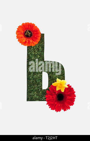 Brief von kyrillischen Alphabet des grünen Grases mit leuchtend roten Gerbera und gelbe Narzisse isoliert auf weißem Stockfoto