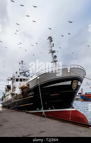 Alten Fischereifahrzeuges Sjarmor (Sjarmør, gebaut 1993) günstig bei Damsgaardsundet, in den Hafen von Bergen, Norwegen. Stockfoto