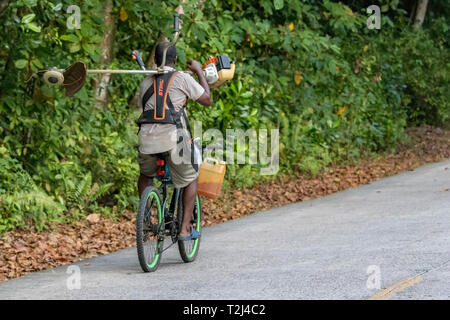 Praslin, Seychellen - Februar 5., 2019: ein Mann auf einem Fahrrad, mit einem schnurlosen Rasentrimmer auf den Seychellen. Stockfoto