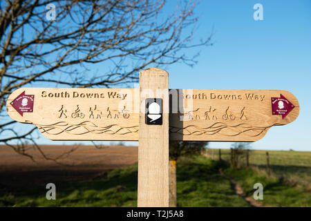 Eine neu installierte geschnitzten Wegweiser auf der South Downs Way, South Downs National Park, West Sussex Stockfoto