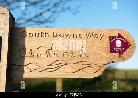 Eine neu installierte geschnitzten Wegweiser auf der South Downs Way, South Downs National Park, West Sussex Stockfoto