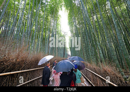 Hohe Bambus Stengel in der arashiyama Bamboo Grove, Kyoto, Japan Stockfoto