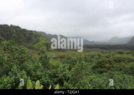 Fünf Wasserfälle, Regenwald bedeckte Berge in Wailua Canyon, Kula, Maui, Hawaii, USA Stockfoto