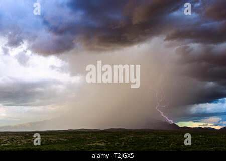 Ein Blitz trifft einen Grat, während sich ein Gewitter mit starkem Regen und dunklen Wolken über den Rincon Mountains in der Nähe von Vail, Arizona, USA, entwickelt Stockfoto