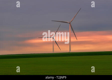 Äolische Turbinen grüne Energie von einem Weizenfeld im Frühjahr in Rumänien gesehen zu produzieren Stockfoto