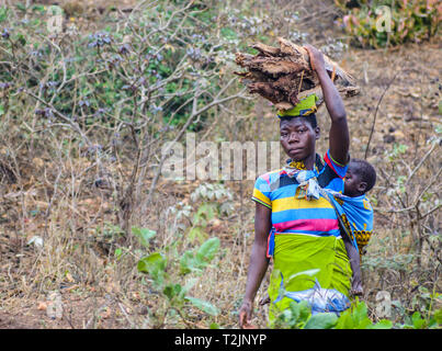 Malawische Frau trägt Brennholz auf dem Kopf mit einem Baby auf dem Rücken Stockfoto