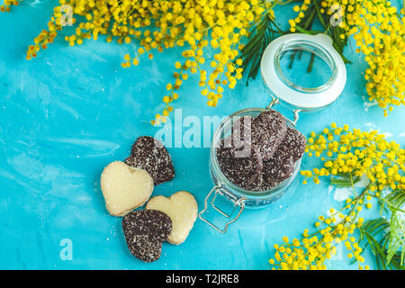 Köstliche gebackene Herzförmige Schokolade Cookies mit Kokos Chips in Glas und Silber wattle oder Mimosa auf blauen Beton Tabelle Oberfläche. Essen Stockfoto