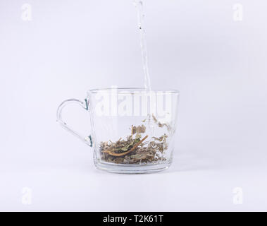 Kräuter trocknen Tee in eine transparente Schale auf weißem Hintergrund Stockfoto