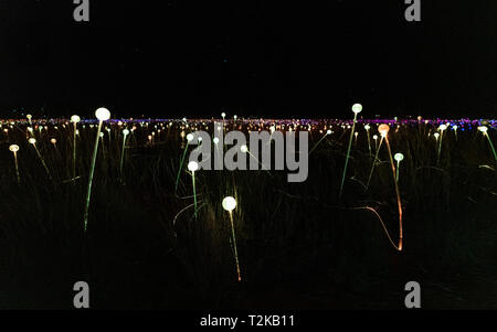 Licht in der Nacht in der Nähe der Leuchten in NT Australien Stockfoto