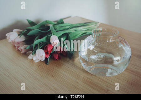 Schöne rosa rote Tulpen mit dunkelgrünen Blätter von großen Glas Vase mit Wasser. Stillleben mit Blumen auf dem Tisch im Zimmer. Stockfoto