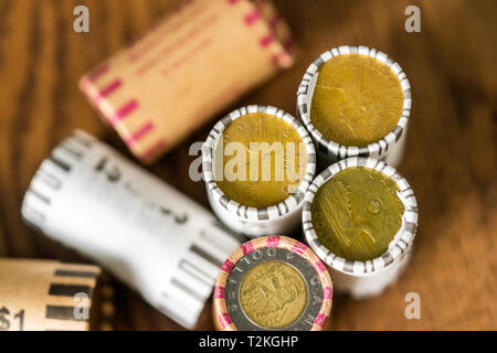 17. Februar 2019 - Stapel von 1 Kanadischen Dollar Münzen aufgerollt für einfache Zählung in der Bank zu deponieren und Ändern Stockfoto
