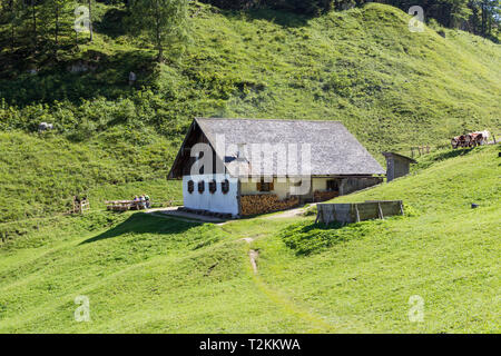 Wanderung von Bindalm zur Halsalm und zurück zum Hintersee. Stockfoto