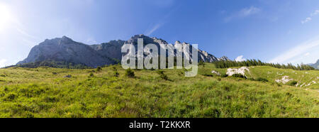 Wanderung von Bindalm zur Halsalm und zurück zum Hintersee. Stockfoto