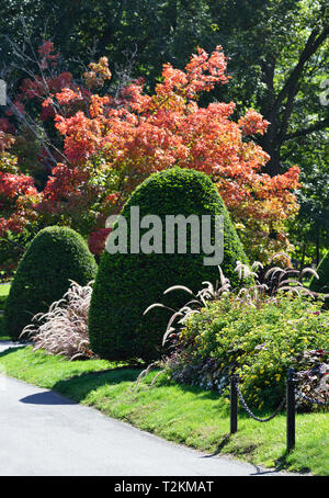 Boston Public Garden im Herbst, Detail Stockfoto