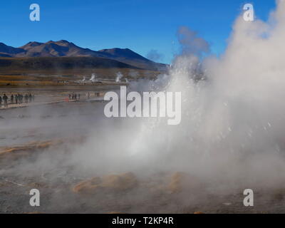 CALAMA, CL-CA. OKT 2018 - El Tatio Geysire, in der Atacama-Wüste im Norden Chiles, ist die höchste geothermale Feld bei mehr als 4200 m über dem Meer l Stockfoto