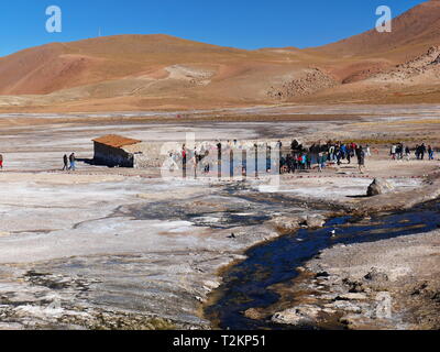 CALAMA, CL-CA. OKT 2018 - El Tatio Geysire, in der Atacama-Wüste im Norden Chiles, ist die höchste geothermale Feld bei mehr als 4200 m über dem Meer l Stockfoto