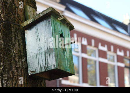 Nistkasten an einem Baum in einer niederländischen 19. Jahrhundert Straße verbunden mit gut gepflegten alten Häusern. Stockfoto