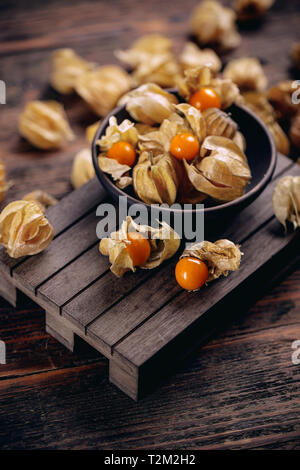 Physalis rubro oder Kap Stachelbeeren, goldenberry, poha und Physalis mit Kelch, exotische exportiert Obst Stockfoto