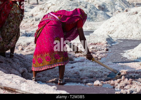 SAMBHAR, INDIEN - November 19, 2012: Indische Frau im rosa Kleid mit Spitzhacke Bergbau Salz am Lake Sambhar, Rajasthan, Indien. Stockfoto