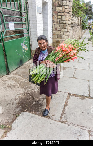 Eine weibliche Senioren gehen auf dem Bürgersteig mit einem Bündel von Grand Dorsett Schnittblumen. Stockfoto