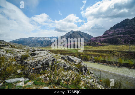 Berglandschaften der Chui Trakt, Altai. Tal Chuya. Petroglyphic komplexe Kalbak-Tash Stockfoto