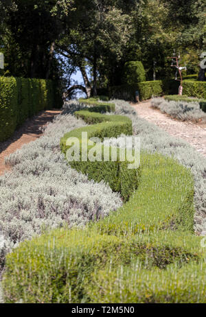 Die Gärten des Jardins de Marqueyssac in der Region Dordogne Frankreich Stockfoto