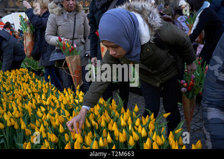 Teilnehmer an der Präsentation der Nationalen tulip Tag in Amsterdam stattfindet, nehmen Sie Blumensträuße mit den Tulpen während der Veranstaltung ausgestellt. Stockfoto