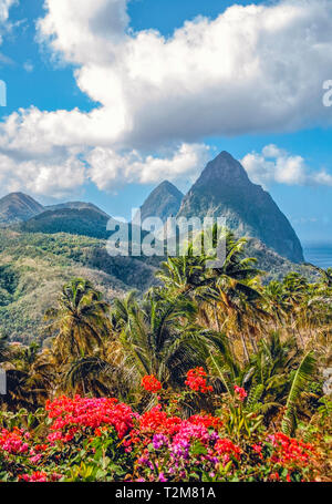 Die beiden Pitons von Saint Lucia hinter Palmen und hellen Bougainvilea Blüten. Stockfoto