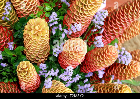 Golden beehive Ginger, Zingiber spectabile Griff, hübsche tropische Blumen Zingiberaceae Stockfoto