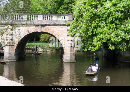 Punting auf dem Fluss Cherwell in der Nähe von Magdalen Bridge in Oxford, Großbritannien Stockfoto