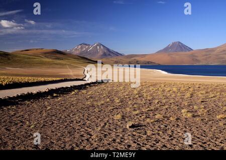 Blick auf der Schiene entlang der tiefblauen See (Lagune) Altiplanic Laguna Miscanti in der Atacama Wüste mit teils schneebedeckten Kegel des Vulkans Meniques - Chile Stockfoto