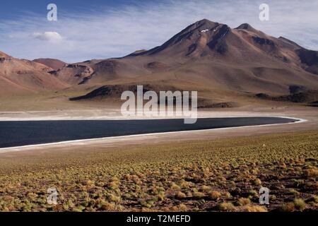 Blick auf der Schiene entlang der tiefblauen See (Lagune) Altiplanic Laguna Miscanti in der Atacama Wüste mit schneebedeckten Kegel des Vulkans Meniques - Chile Stockfoto