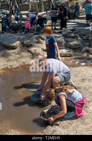 Familie Goldwaschen in Sovereign Hill, eine Open Air Museum in der alten Goldgräberstadt von Ballarat, Victoria, Australien Stockfoto