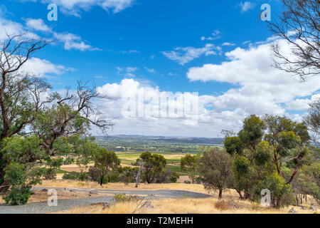 Blick über das Barossa Valley Weinbaugebiet von Mengler Hill Lookout, Bethany, South Australia, Australien Stockfoto