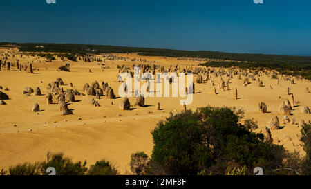 Die Pinnacles sind Kalkstein Felsen ragen aus der Wüste von Wind und Regen produziert Stockfoto