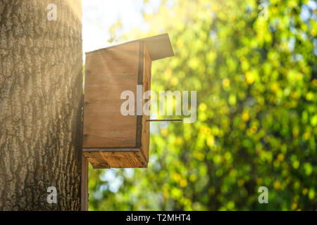 Ein Vogelhaus aus Sperrholz auf einem dicken Baumstamm und natürlichen Hintergrund in den sonnigen Tag. Stockfoto