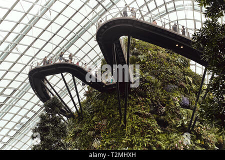 Gärten und Architektur in das Innere der Wolke Kuppel, an die Gärten an der Bucht, in Singapur Stockfoto