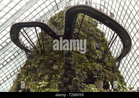 Gärten und Architektur in das Innere der Wolke Kuppel, an die Gärten an der Bucht, in Singapur Stockfoto