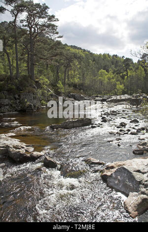 Fluss Affric Glen Affric Nature Reserve Highland Region Schottland Stockfoto