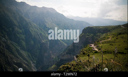 Kondore über den Colca Canyon bei Condor Kreuz oder Cruz Del Condor Aussichtspunkt in Chivay, Peru Stockfoto