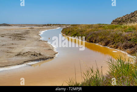 Landschaft um Salin-de-Giraud in der Camargue in Südfrankreich, welche befindet, viel Salz Verdunstungsteichen in sonnigem Ambiente Stockfoto