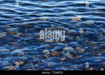 Klares Wasser am Lago General Carrera, Chile Chico, Aysen, Patagonien, Chile Stockfoto