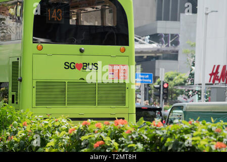 Ein Singapur SG Bus im Mittag, Verkehr. Mehr als 576 Linienbusse bedienen in und um Singapur über eine Reihe von Dienstleistern. Stockfoto