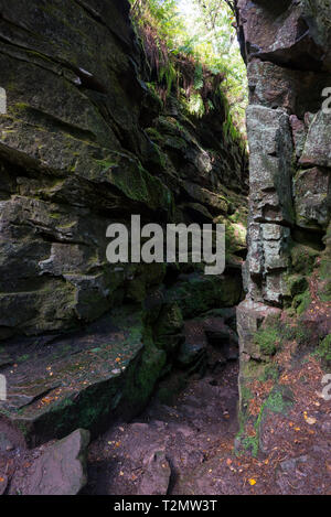 Die geheimnisvolle felsige Schlucht des Luds Kirche in der Nähe Gradbach in Staffordshire, England. In den Wäldern in der Nähe der Kakerlaken versteckt. Stockfoto