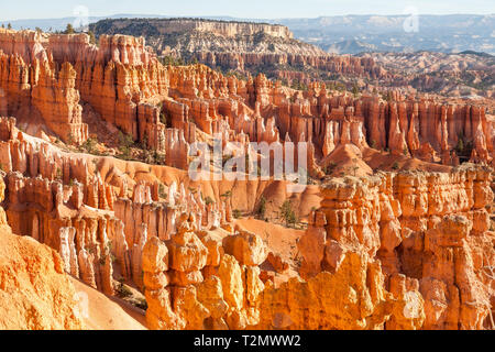 Große Türme, auch als hoodos, weg von der Erosion im Bryce Canyon National Park, Utah, USA, rot und orange bei Sonnenaufgang geschnitzt. Die größte ein Stockfoto