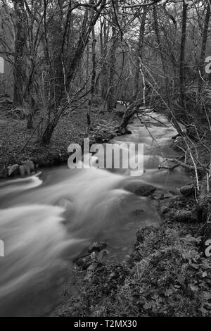 Lange Exposition der Fluss fließt durch Horner Holz in Somerset Stockfoto