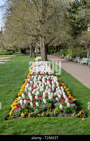 Bunte Blumenbeete im jephson Gärten im Frühjahr. Leamington Spa, Warwickshire, England Stockfoto