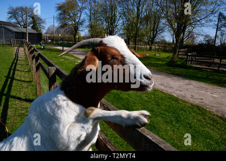 Bucks Bock Center, Stoke Mandeville, Aylesbury, Buckinghamshire, Großbritannien Stockfoto