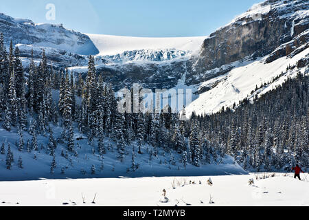 Langlauf auf Bow Lake Icefields Parkway, Alberta Stockfoto