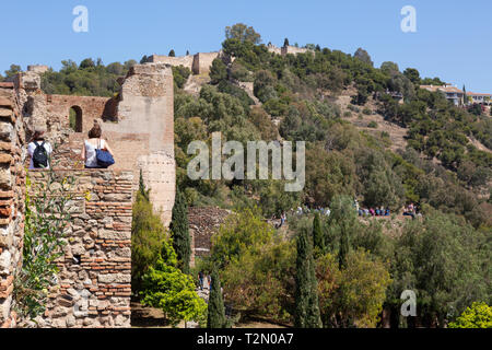 Die mittelalterliche Festung Alcazaba de Malaga aus dem 11. Jahrhundert, Malaga Altstadt, Andalusien, Spanien Europa Stockfoto
